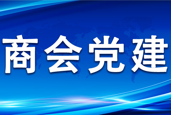 学习二十大精神|商会执行会长、支部党员谈学习心得体会